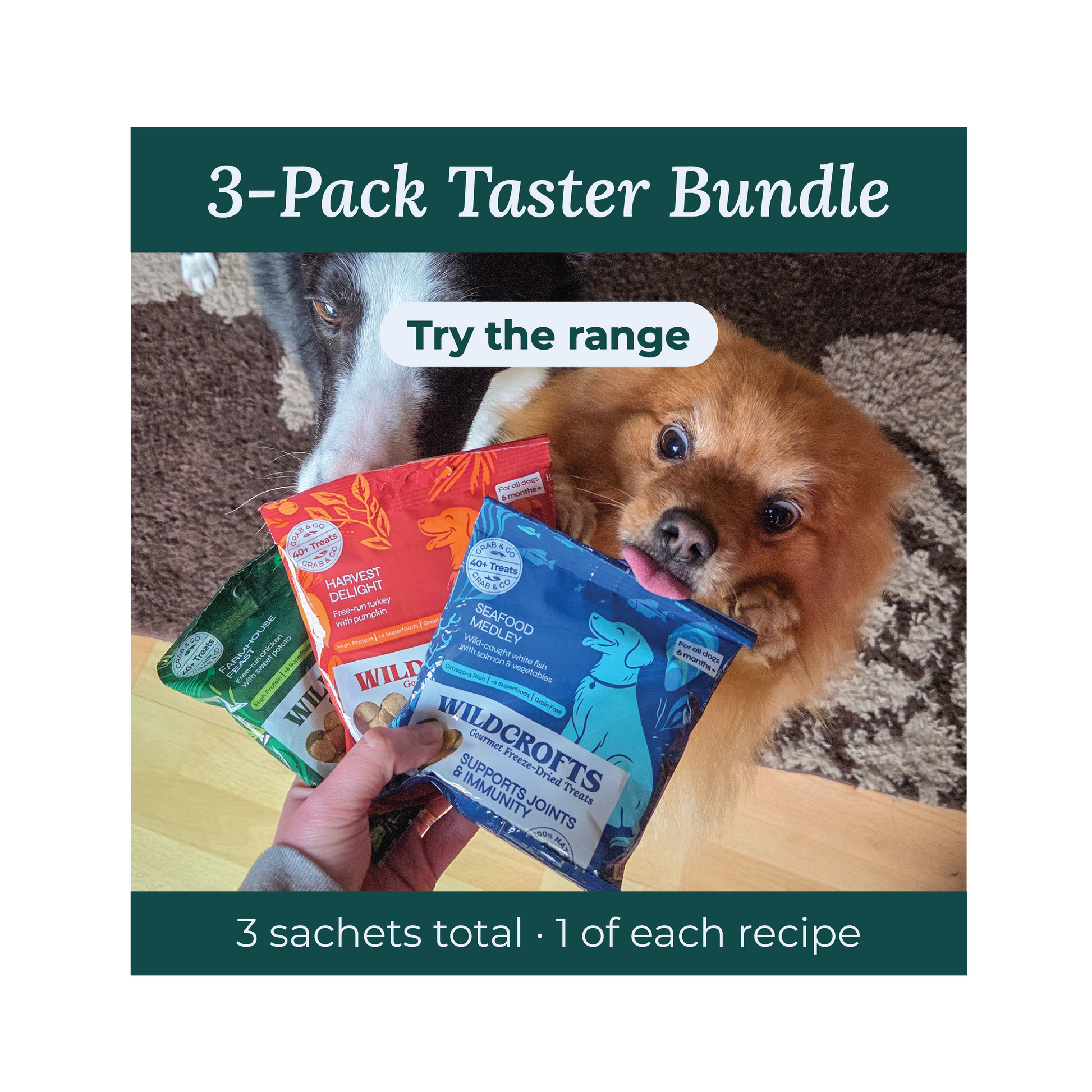 3-Pack Taster Bundle