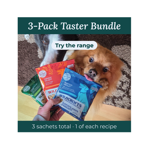 3-Pack Taster Bundle