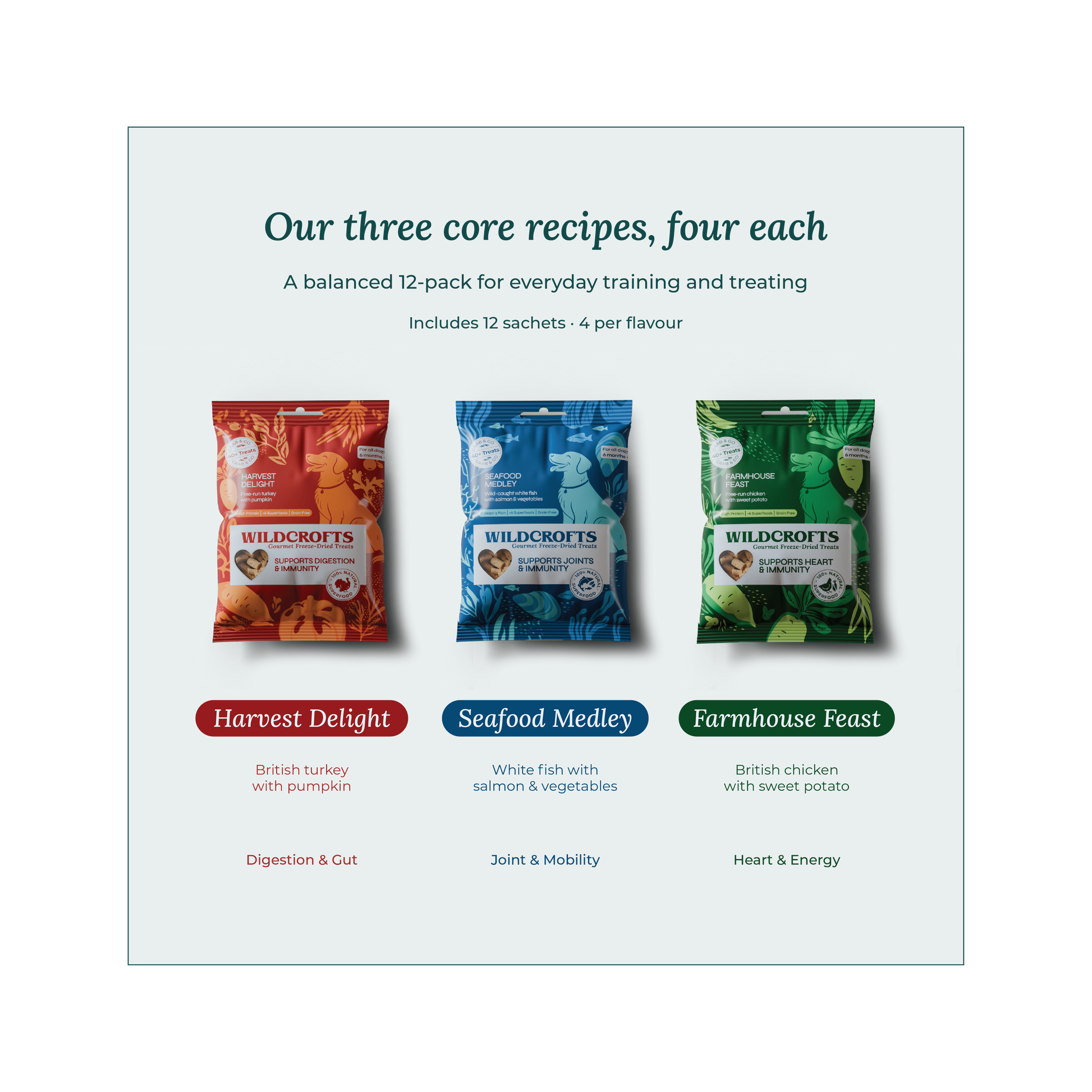Freeze-Dried Dog Treat Bundle (12 Pack)