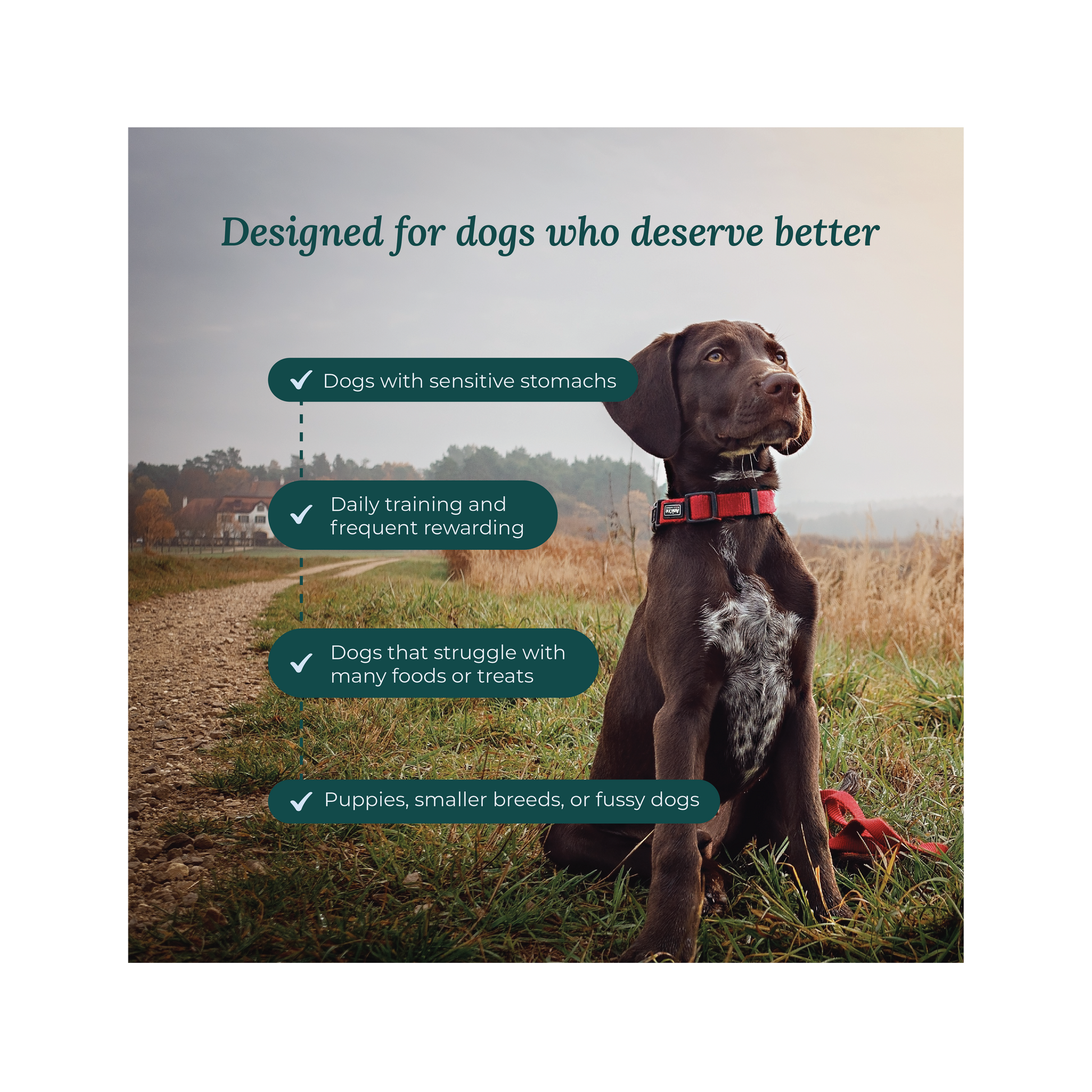 3-Pack Taster Bundle