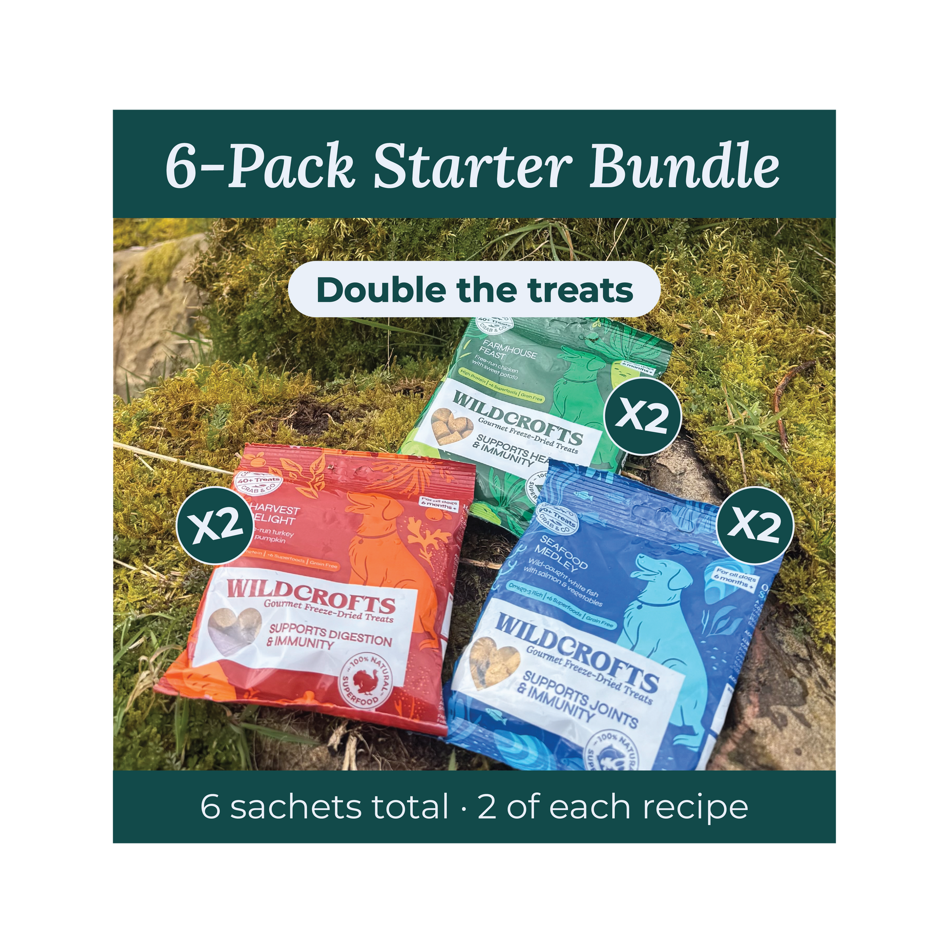 6-Pack Starter Bundle