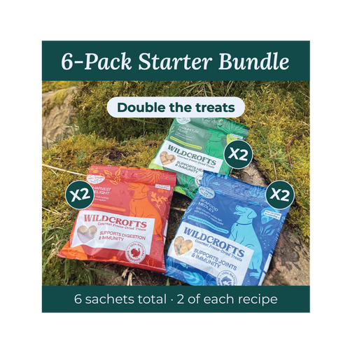 6-Pack Starter Bundle