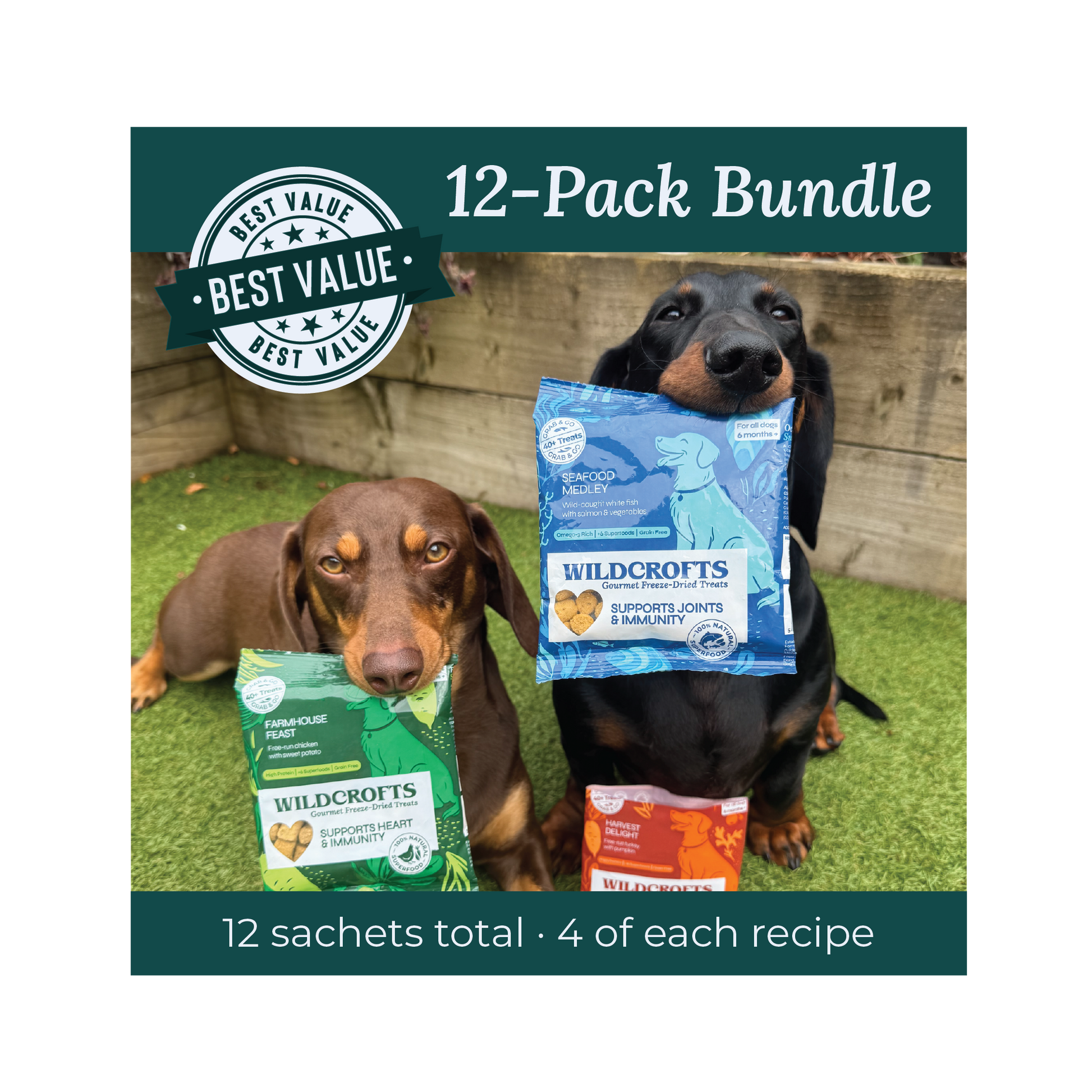 Freeze-Dried Dog Treat Bundle (12 Pack)