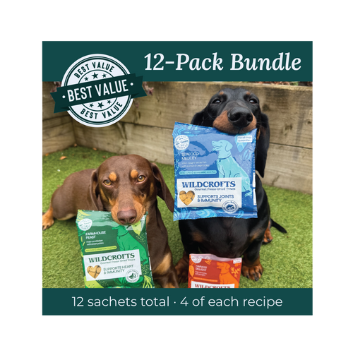 Freeze-Dried Dog Treat Bundle (12 Pack)