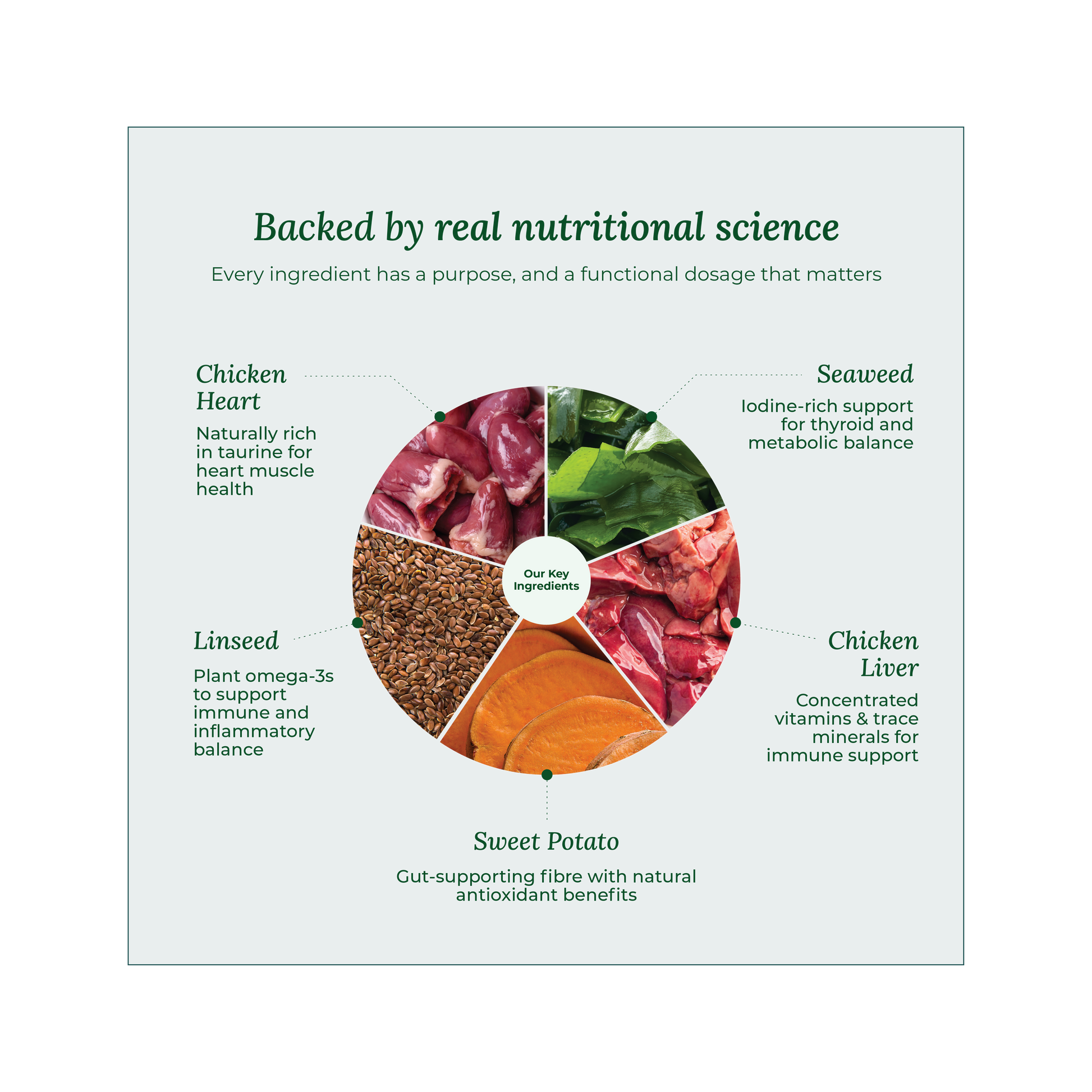 UK made freeze-dried dog treats made with ingredients associated with heart health and immunity, great for daily training