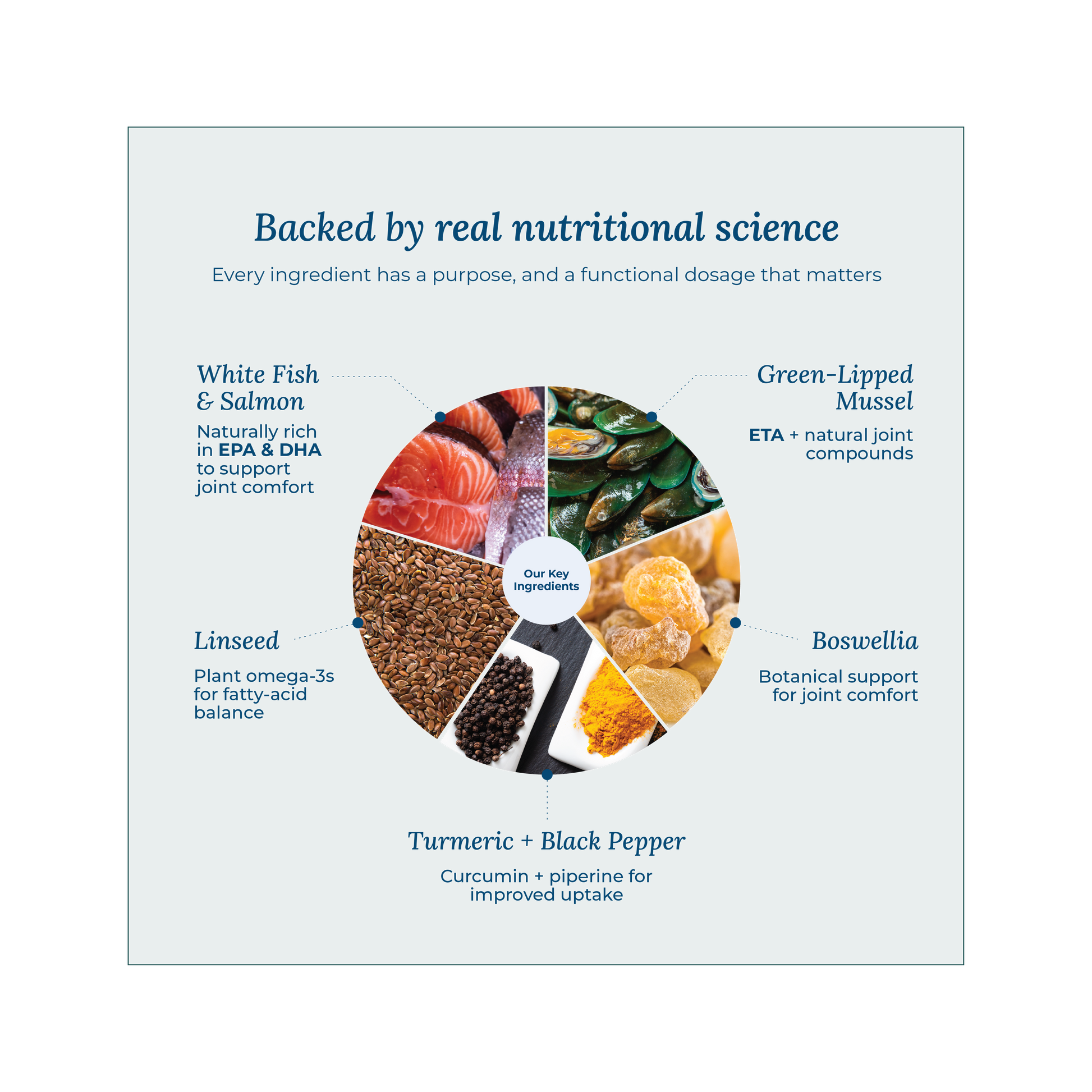 UK made Omega-rich freeze-dried dog treats for mobility and vitality and everyday training