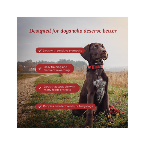 Digestion & Gut - Harvest Delight