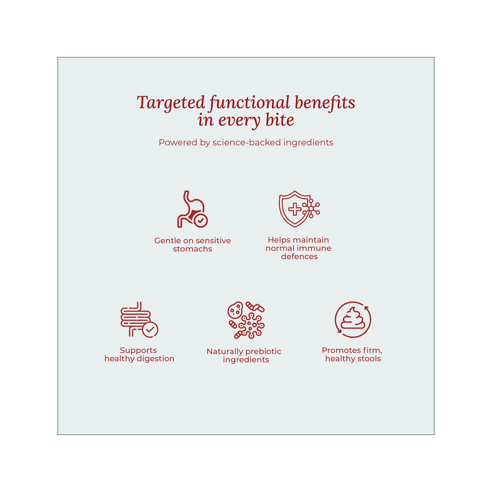 UK Freeze-dried dog treats designed for sensitive stomachs and training