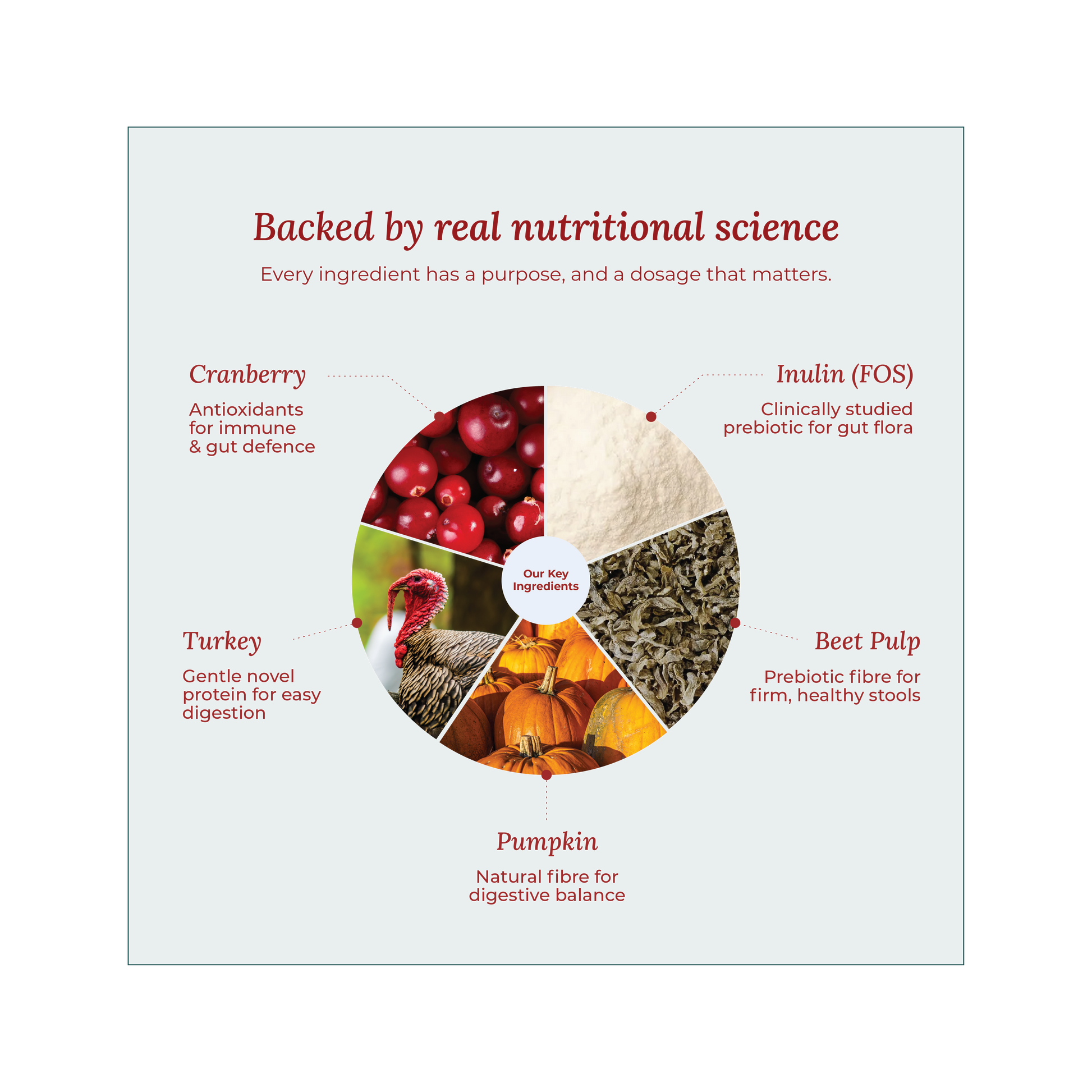 UK Freeze-dried dog treats designed for sensitive stomachs and training