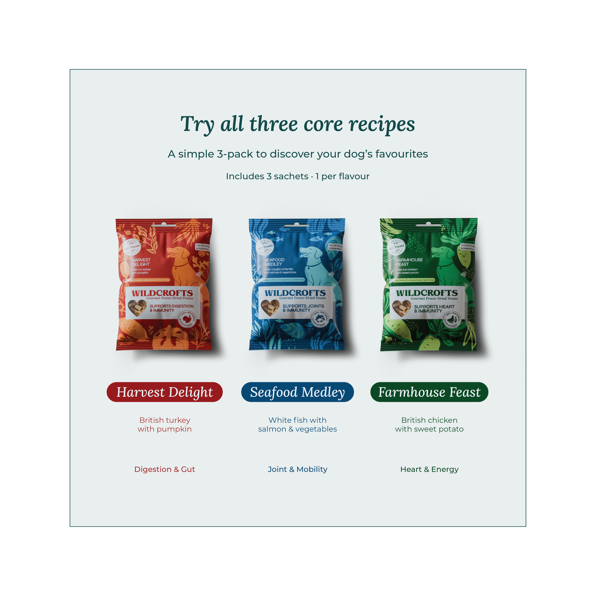 3-Pack Taster Bundle
