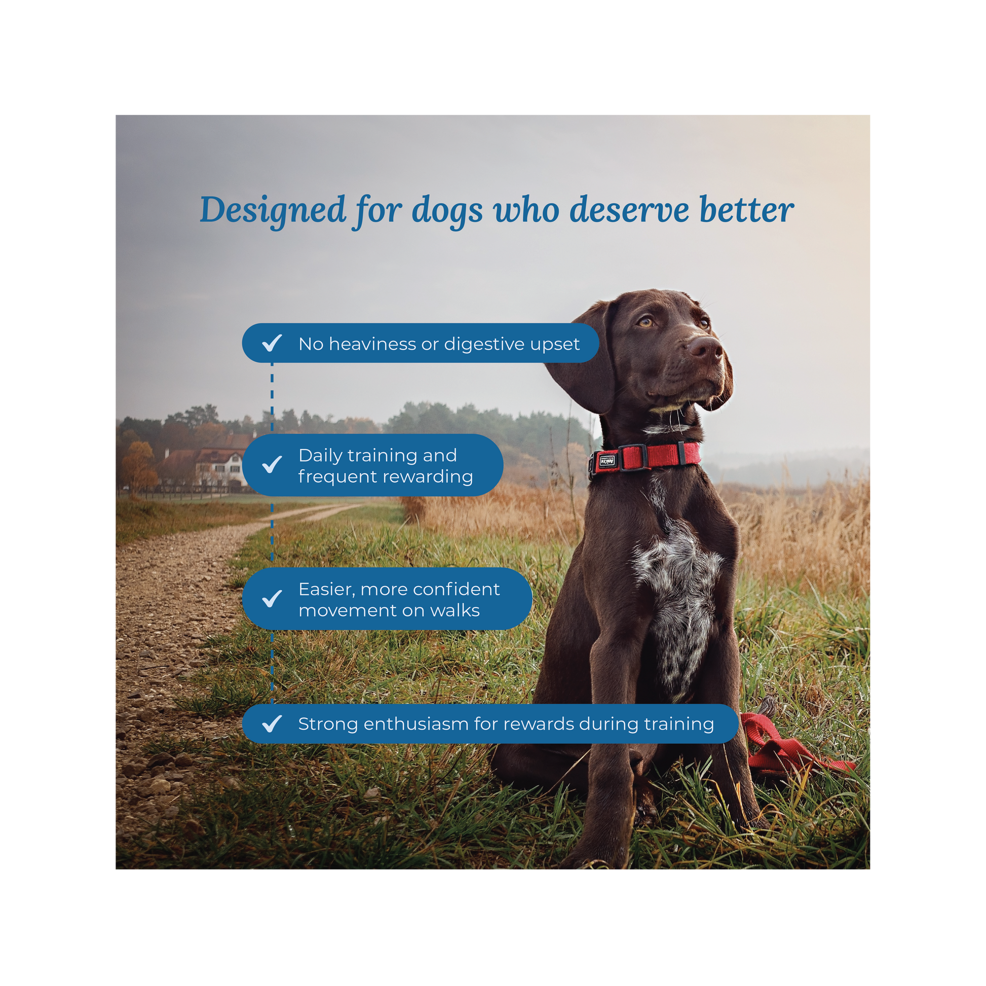 Joint & Mobility - Seafood Medley