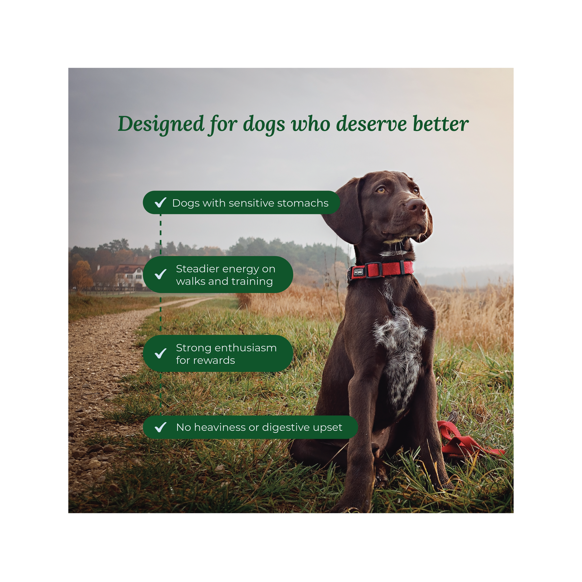 Heart & Energy - Farmhouse Feast