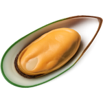 Green Lipped Mussel